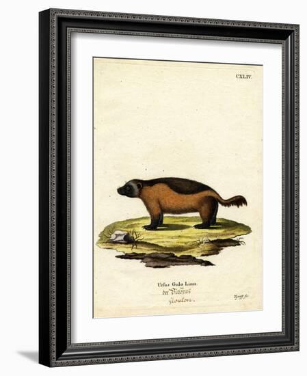 Wolverine-null-Framed Giclee Print