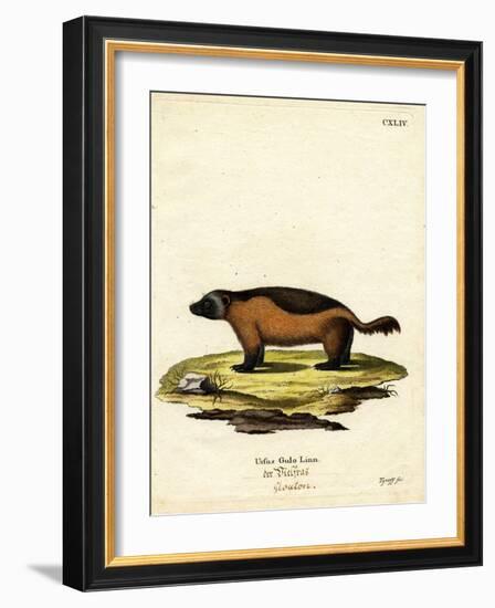 Wolverine-null-Framed Giclee Print