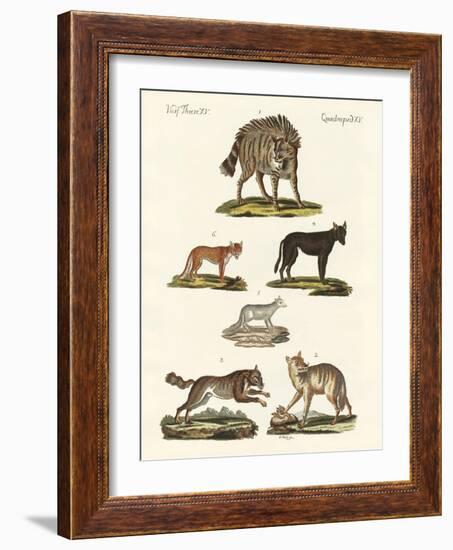 Wolves and Foxes-null-Framed Giclee Print