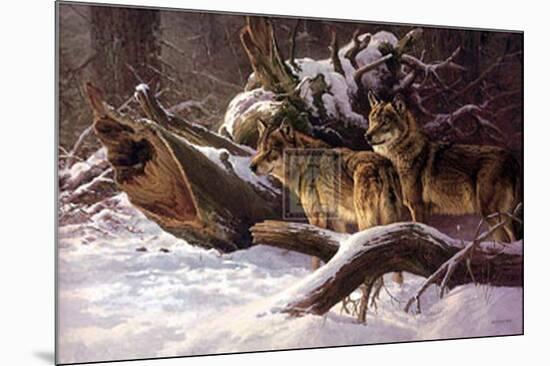 Wolves in Winter-D Van Heerde-Mounted Art Print