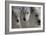 Wolves Three-Gordon Semmens-Framed Photographic Print