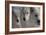 Wolves Three-Gordon Semmens-Framed Photographic Print