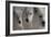 Wolves Three-Gordon Semmens-Framed Photographic Print