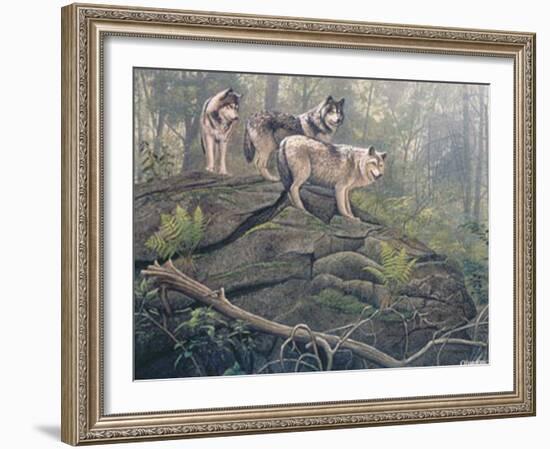 Wolves-Clive Kay-Framed Art Print