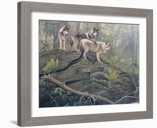 Wolves-Clive Kay-Framed Art Print