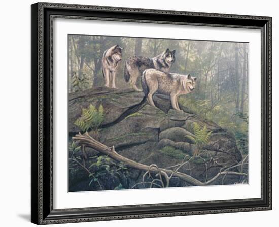 Wolves-Clive Kay-Framed Art Print