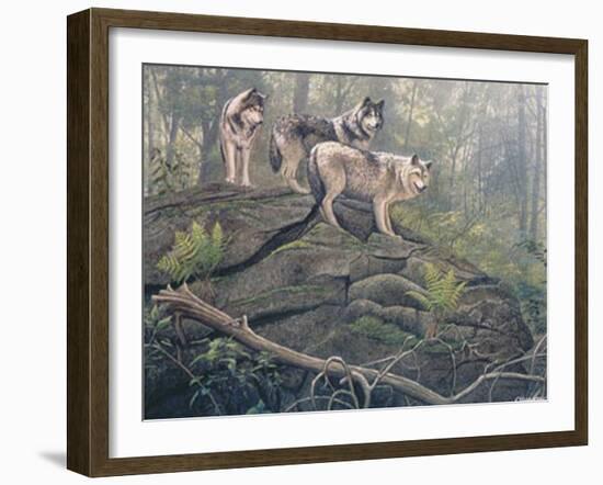 Wolves-Clive Kay-Framed Art Print