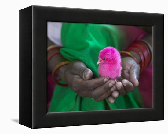 Woman and Chick Painted with Holy Color, Orissa, India-Keren Su-Framed Premier Image Canvas