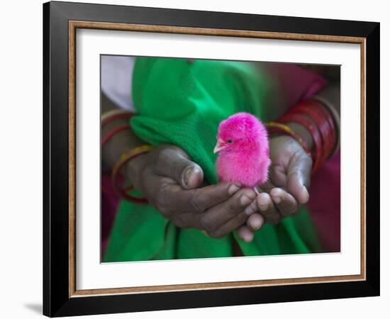 Woman and Chick Painted with Holy Color, Orissa, India-Keren Su-Framed Photographic Print