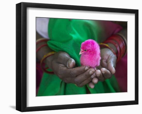 Woman and Chick Painted with Holy Color, Orissa, India-Keren Su-Framed Photographic Print