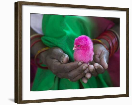 Woman and Chick Painted with Holy Color, Orissa, India-Keren Su-Framed Photographic Print