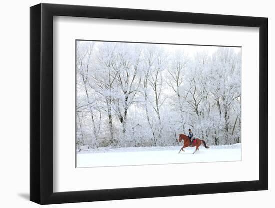 Woman and Her Horse Cantering in Fresh Snow in Christmas Morning-horsemen-Framed Photographic Print