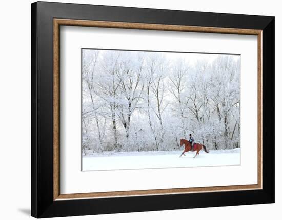 Woman and Her Horse Cantering in Fresh Snow in Christmas Morning-horsemen-Framed Photographic Print