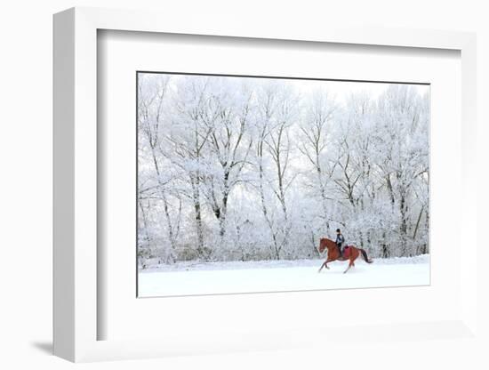 Woman and Her Horse Cantering in Fresh Snow in Christmas Morning-horsemen-Framed Photographic Print