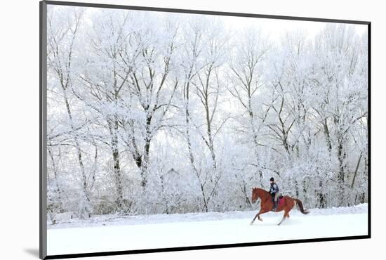 Woman and Her Horse Cantering in Fresh Snow in Christmas Morning-horsemen-Mounted Photographic Print