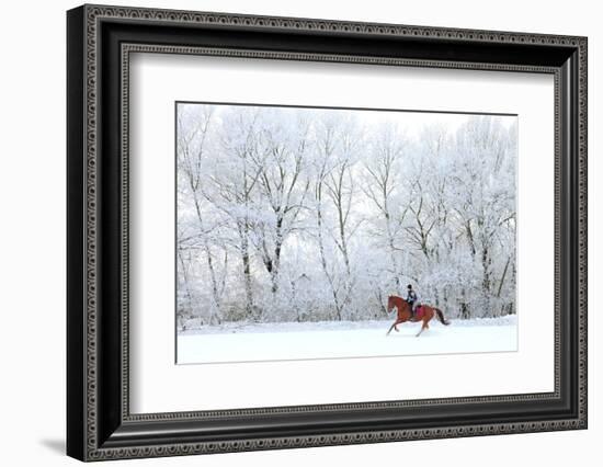 Woman and Her Horse Cantering in Fresh Snow in Christmas Morning-horsemen-Framed Photographic Print