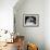 Woman and Man Sitting Together and Looking at a Book-null-Framed Photo displayed on a wall