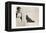 Woman and Pekingese Dog-null-Framed Premier Image Canvas
