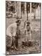 Photographic Print