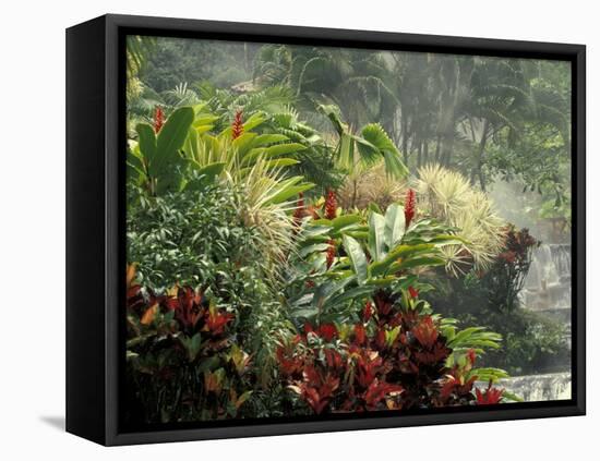 Woman at Tabacon Hot Springs near Arenal Volcano, Costa Rica-Stuart Westmoreland-Framed Premier Image Canvas