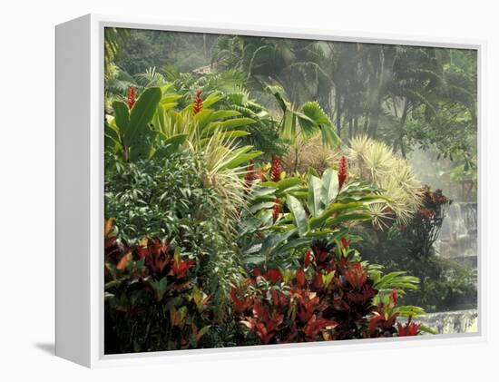 Woman at Tabacon Hot Springs near Arenal Volcano, Costa Rica-Stuart Westmoreland-Framed Premier Image Canvas