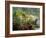 Woman at Tabacon Hot Springs near Arenal Volcano, Costa Rica-Stuart Westmoreland-Framed Photographic Print