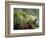 Woman at Tabacon Hot Springs near Arenal Volcano, Costa Rica-Stuart Westmoreland-Framed Photographic Print