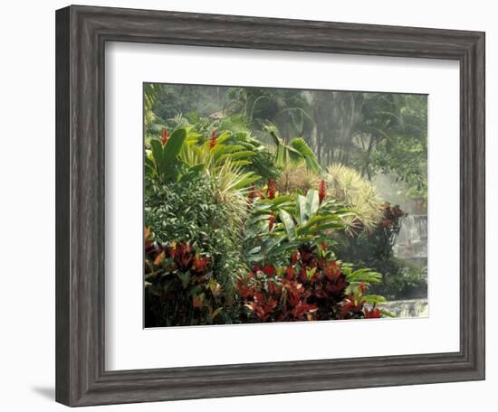 Woman at Tabacon Hot Springs near Arenal Volcano, Costa Rica-Stuart Westmoreland-Framed Photographic Print