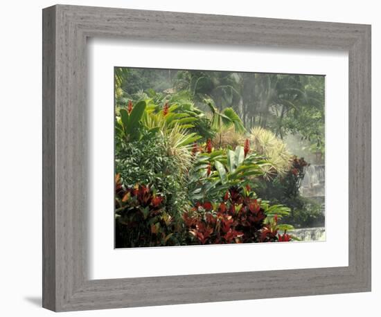 Woman at Tabacon Hot Springs near Arenal Volcano, Costa Rica-Stuart Westmoreland-Framed Photographic Print