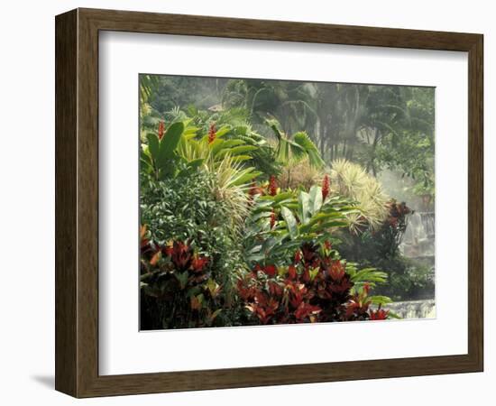 Woman at Tabacon Hot Springs near Arenal Volcano, Costa Rica-Stuart Westmoreland-Framed Photographic Print