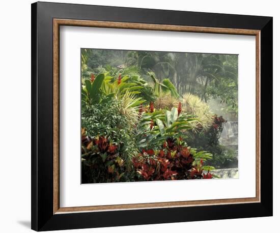 Woman at Tabacon Hot Springs near Arenal Volcano, Costa Rica-Stuart Westmoreland-Framed Photographic Print