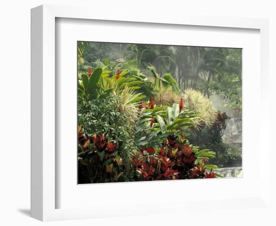 Woman at Tabacon Hot Springs near Arenal Volcano, Costa Rica-Stuart Westmoreland-Framed Photographic Print