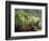 Woman at Tabacon Hot Springs near Arenal Volcano, Costa Rica-Stuart Westmoreland-Framed Photographic Print