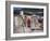 Woman at the Cape Flats, Cape Town, South Africa, Africa-Yadid Levy-Framed Photographic Print