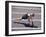 Woman at the Starting Pose on a Running Track-null-Framed Photographic Print