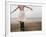 Woman Balancing on a Breakwater-null-Framed Photographic Print