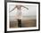 Woman Balancing on a Breakwater-null-Framed Photographic Print