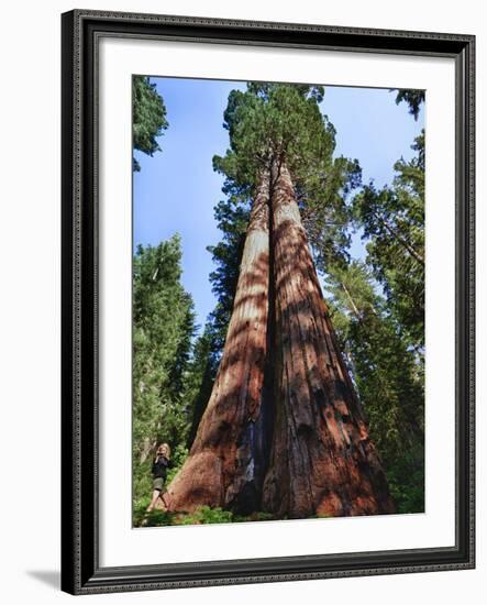 Woman by Sequoia, Yosemite National Park, California, USA-Mark Williford-Framed Photographic Print