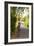 Woman Carrying Offering to Temple, Pejeng Kaja, Tampaksiring, Bali, Indonesia-null-Framed Photographic Print