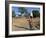 Woman Carrying Sack on Her Head, Ogol Village, Sangha, Dogon Area, Mali, Africa-Bruno Morandi-Framed Photographic Print