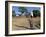 Woman Carrying Sack on Her Head, Ogol Village, Sangha, Dogon Area, Mali, Africa-Bruno Morandi-Framed Photographic Print