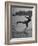 Woman Competing in the National Water Skiing Championship Tournament-Mark Kauffman-Framed Photographic Print