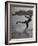 Woman Competing in the National Water Skiing Championship Tournament-Mark Kauffman-Framed Photographic Print