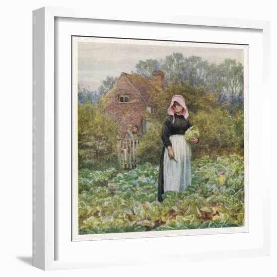 Woman Cuts Cabbages-Helen Allingham-Framed Art Print