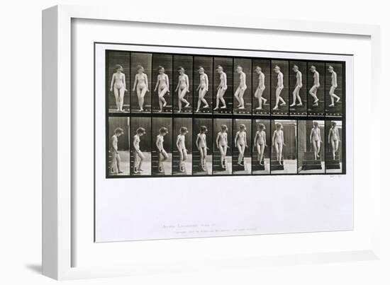 Woman Descending Steps, Plate 137 from 'Animal Locomotion', 1887 (B/W Photo)-Eadweard Muybridge-Framed Giclee Print