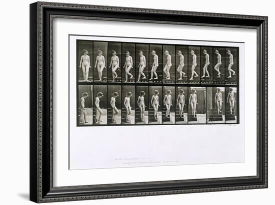 Woman Descending Steps, Plate 137 from 'Animal Locomotion', 1887 (B/W Photo)-Eadweard Muybridge-Framed Giclee Print