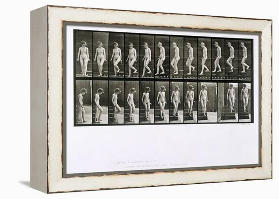 Woman Descending Steps, Plate 137 from 'Animal Locomotion', 1887 (B/W Photo)-Eadweard Muybridge-Framed Premier Image Canvas