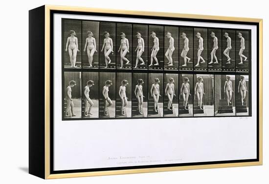 Woman Descending Steps, Plate 137 from 'Animal Locomotion', 1887 (B/W Photo)-Eadweard Muybridge-Framed Premier Image Canvas