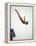 Woman Diver Flying Through the Air, California, USA-Paul Sutton-Framed Premier Image Canvas