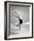 Woman Does Handstand on the Beach (B&W)-Hulton Archive-Framed Photographic Print